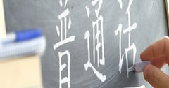 Chinese Language in Culture Level 2